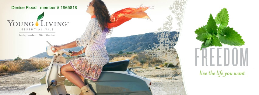 yl-fb-banner-personal2